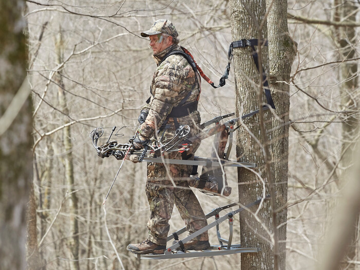 climbing tree stands